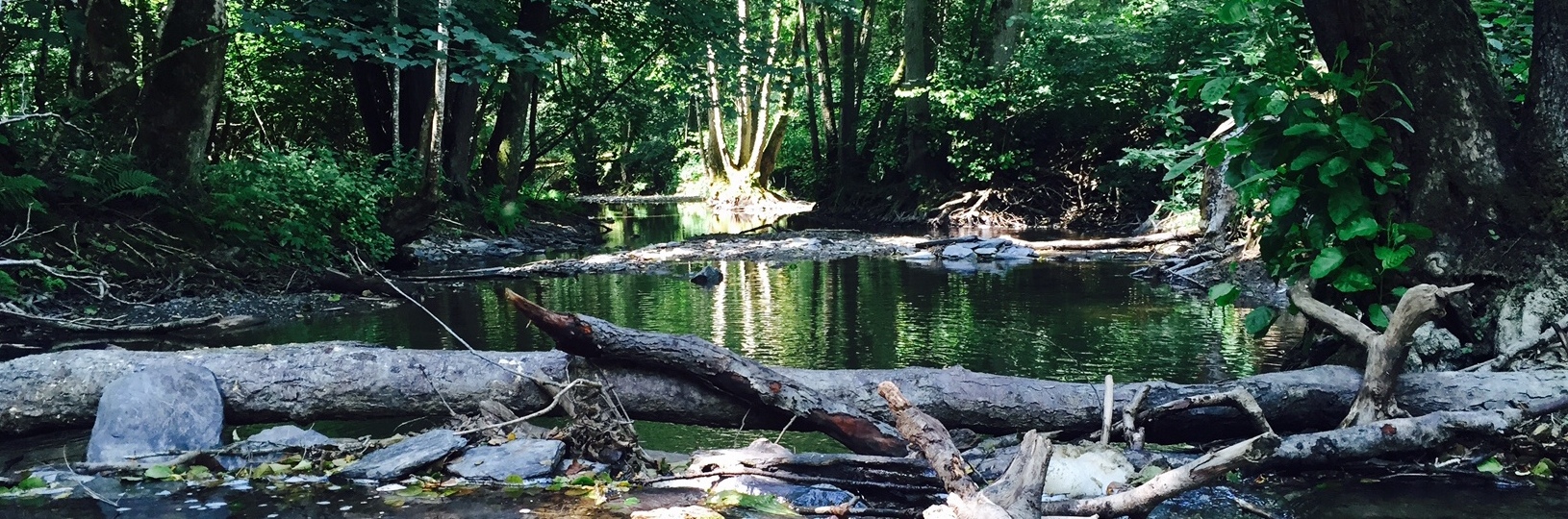 Naturpark Rhein - Taunus